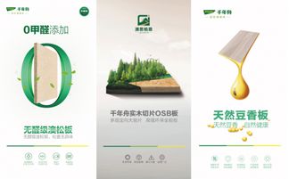 千年舟20歲獻禮 凈醛產品引領0醛時代，知識產權鑄就綠意未來